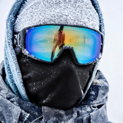 Face Shield